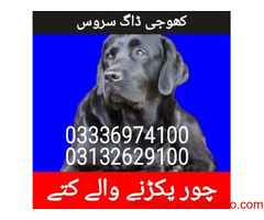 Army dog center quetta (03336974100)