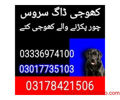 Army dog center karachi 03178421506