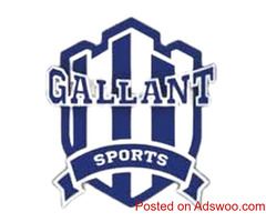Gallant Sports: Expert Turf Set Up Company
