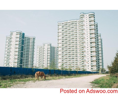 How to Find the Best Flats for Sale in Karnal, Haryana - 7026455555