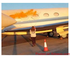 Just Stop Oil protesters broke into a private airfield to vandalize Taylor Swift’s private jet.