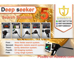 Deep Seeker gold detector