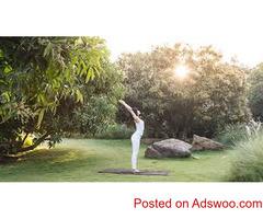 Yoga In Gir Sasan Gir | Meditation In Gir Sasan Gir