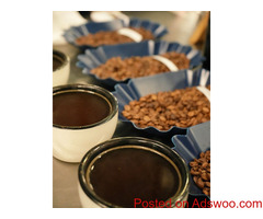 Madis Coffee Roasters: Sourcing the Finest Organic Coffee Beans for a Guilt-Free Cup