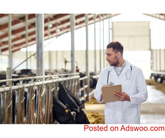 Stress-Free Farming with Cattle Care Inc.