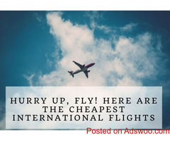 Explore the World with Fly24hrs - Preferred Best Flight Booking Portal