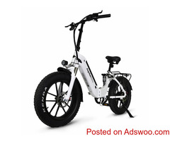 Discover the Thrill of Riding an Electric Mountain Bike
