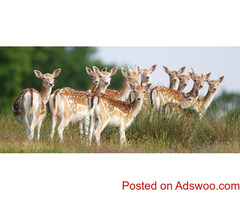 Package Tour Operator For Sundarban