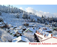 Shimla Travel Agents in Kolkata