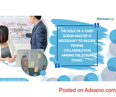 Scrum Master in Mexico: Agile Leadership with SCRUMstudy