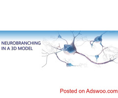Alphabioregen: Enhance Your 3D Experience with Our Supporting Products