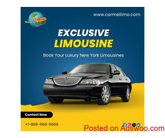 Experience Luxurious New York Limo Service – Carmellimo.com