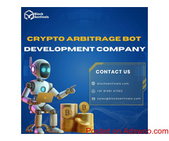 Block Sentinels: Your Leading Crypto Arbitrage Bot Development Company for Smart Trading Solutions