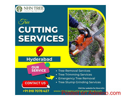 Tree Cutting Services in Hyderabad - NHN Tree Cutting Services