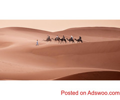 Discover Unforgettable Morocco Tours | UniquelyMorocco