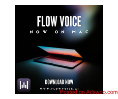Speak naturally, Flow writes what you'd have written