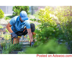 Serv Square Professional Landscaping Services