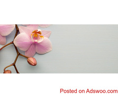 Order Orchid Plants Online | DonyasFlorals