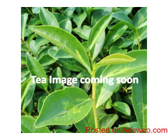 Zi-chun - Authentic Chinese Tea Supplier: Premium Quality Teas from the Source