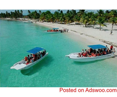 Saona Island Excursion: Discover Pristine Beaches and Vibrant Marine Life