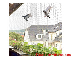 Discover the Best Pigeon Nets for Balconies in Hyderabad with Philips Enterprises