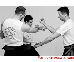 Master the Southern Praying Mantis Fighting Style with MyChowGar