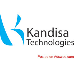 Looking for Salesforce Consulting Partner in India