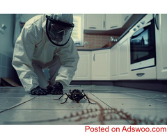 Termicide Provides Expert Termite Control Services in Gold Coast