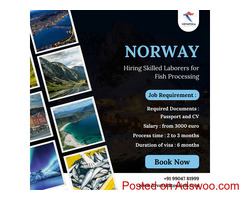 Norway Hiring: Skilled Laborers for Fish Processing!
