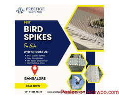 Premium Bird Spikes in Bangalore at Affordable Prices
