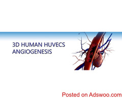 3D Supporting Products | Advanced Solutions by AlphaBioRegen