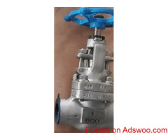 Forged Steel Globe Valve Supplier in Colombia