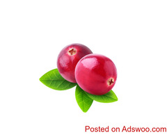 Cranberry Concentrate - Boost Your Health Naturally | iDrinkSuperfood