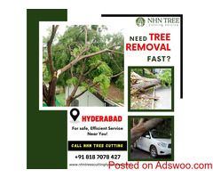 Tree Removal Services - NHN Tree Cutting Services Hyderabad