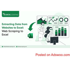 Web Scraping to Excel: Extracting Data From Websites To Excel