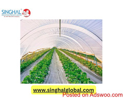 Maximize Growth Potential with Premium Greenhouse Film