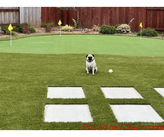 Big Bully Turf