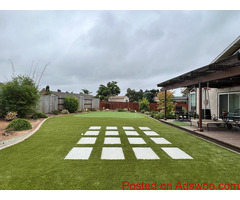 Big Bully Turf