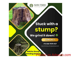 Tree Stump Grinding & Tree Care Services in Hyderabad: NHN Tree Cutting