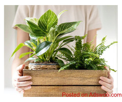 Transforming Living Spaces with Affordable Home Decor Ideas from Oramicin Discounts Code.