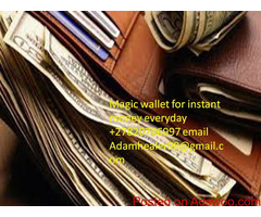 Magic wallet that delivers money everyday +27820706997
