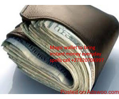 Magic wallet that delivers money everyday +27820706997