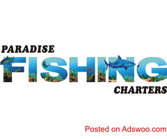Fishing Gold Coast: Your Premier Adventure Awaits