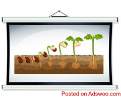 BioAg Innovations - Advanced Solutions for Soil Development