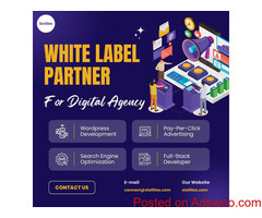 Expert White Label Solutions for Digital Success
