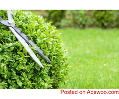 Garden Cleaning in Canberra With Professional-Grade Equipment