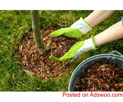 Garden Cleaning in Canberra With Professional-Grade Equipment