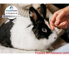 Animal Experiments In Pharmacology