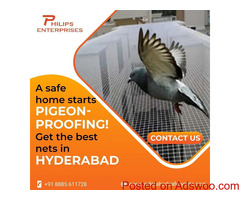Ensure a Bird-Free Zone with Pigeon Safety Nets by Philips Enterprises