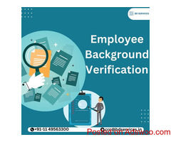 Ensure Trust with BD Services' Employee Background Verification